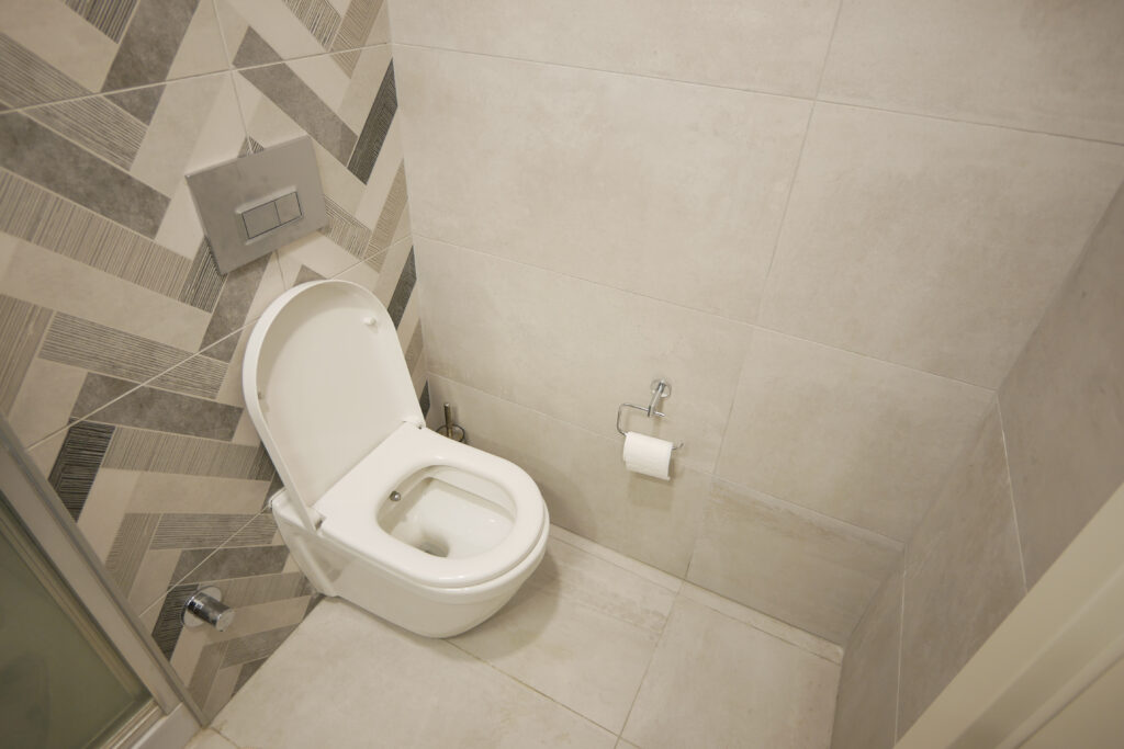 toilet repair Haywards Heath