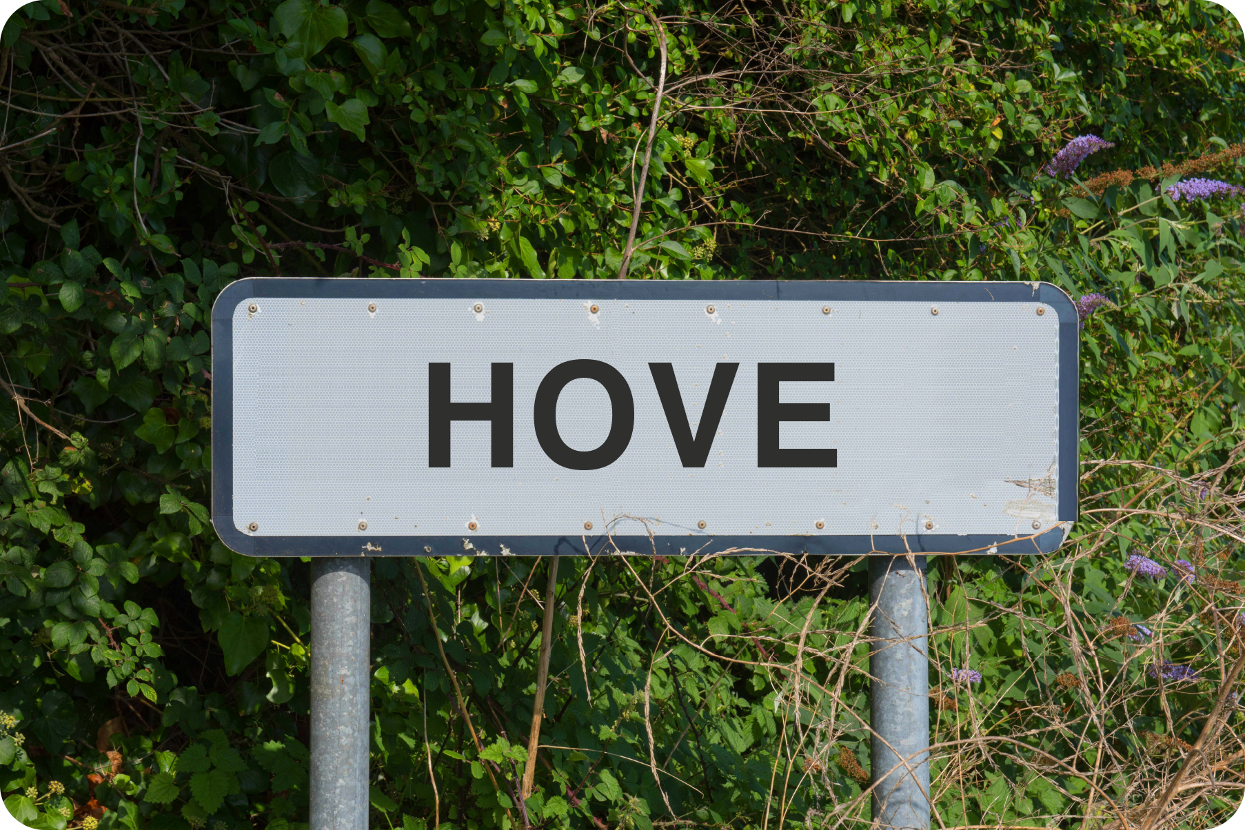 Brighton plumbers - Safe Gas - Hove